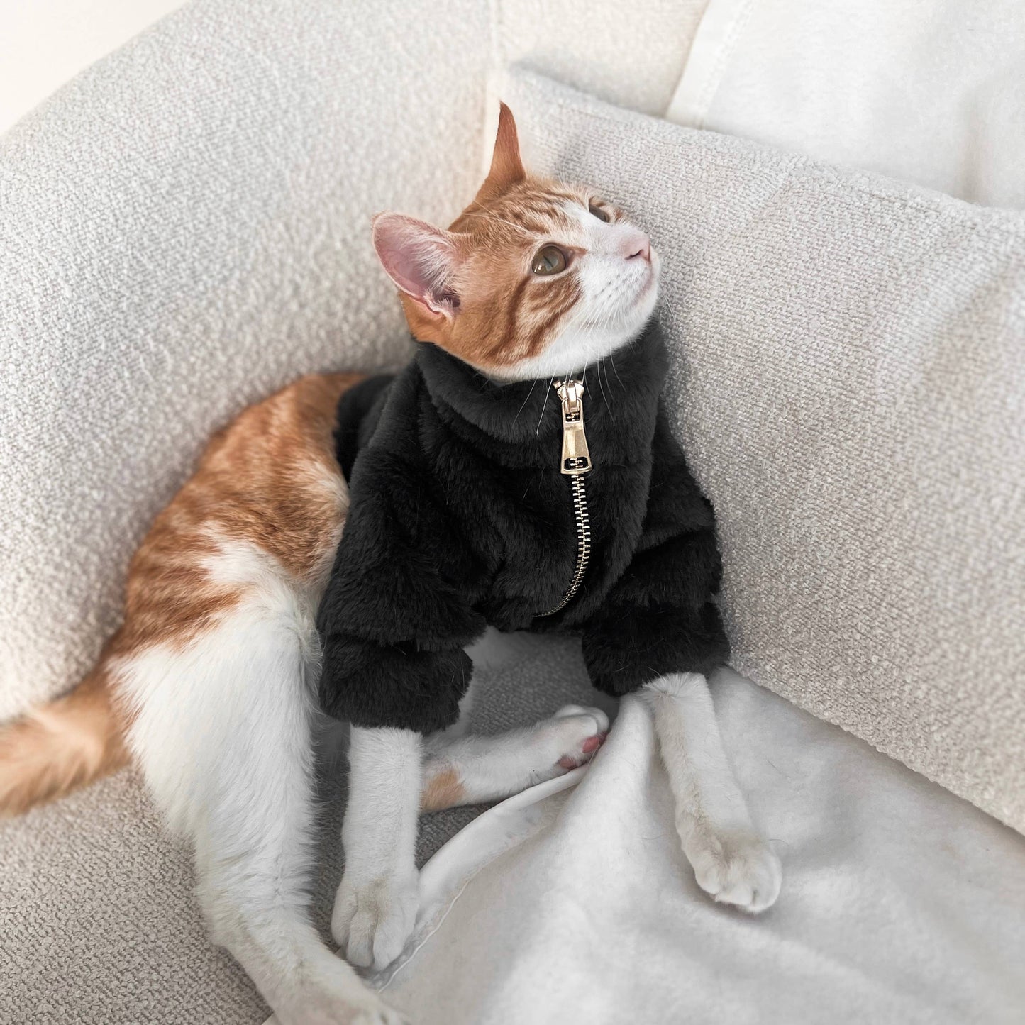 Furi Pet Coat - Noir