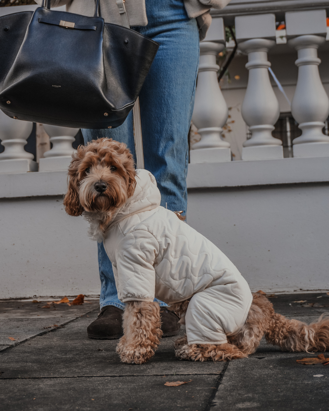 Marshmallow | The Capsule Quilted Bodysuit