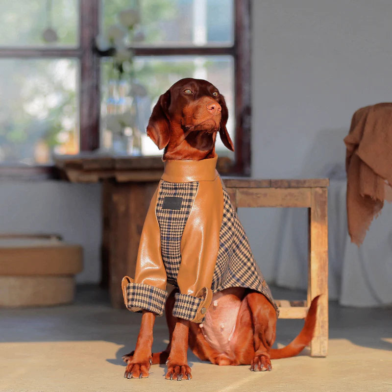 Ashwood Checkered Jacket