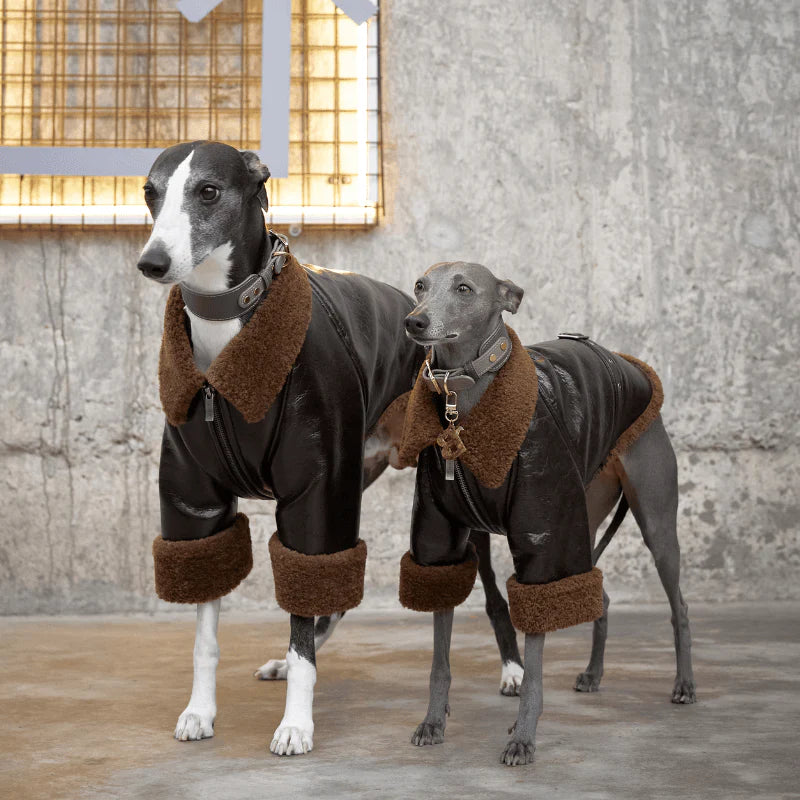 Woodland Vegan Shearling Jacket