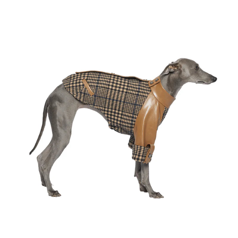 Ashwood Checkered Jacket