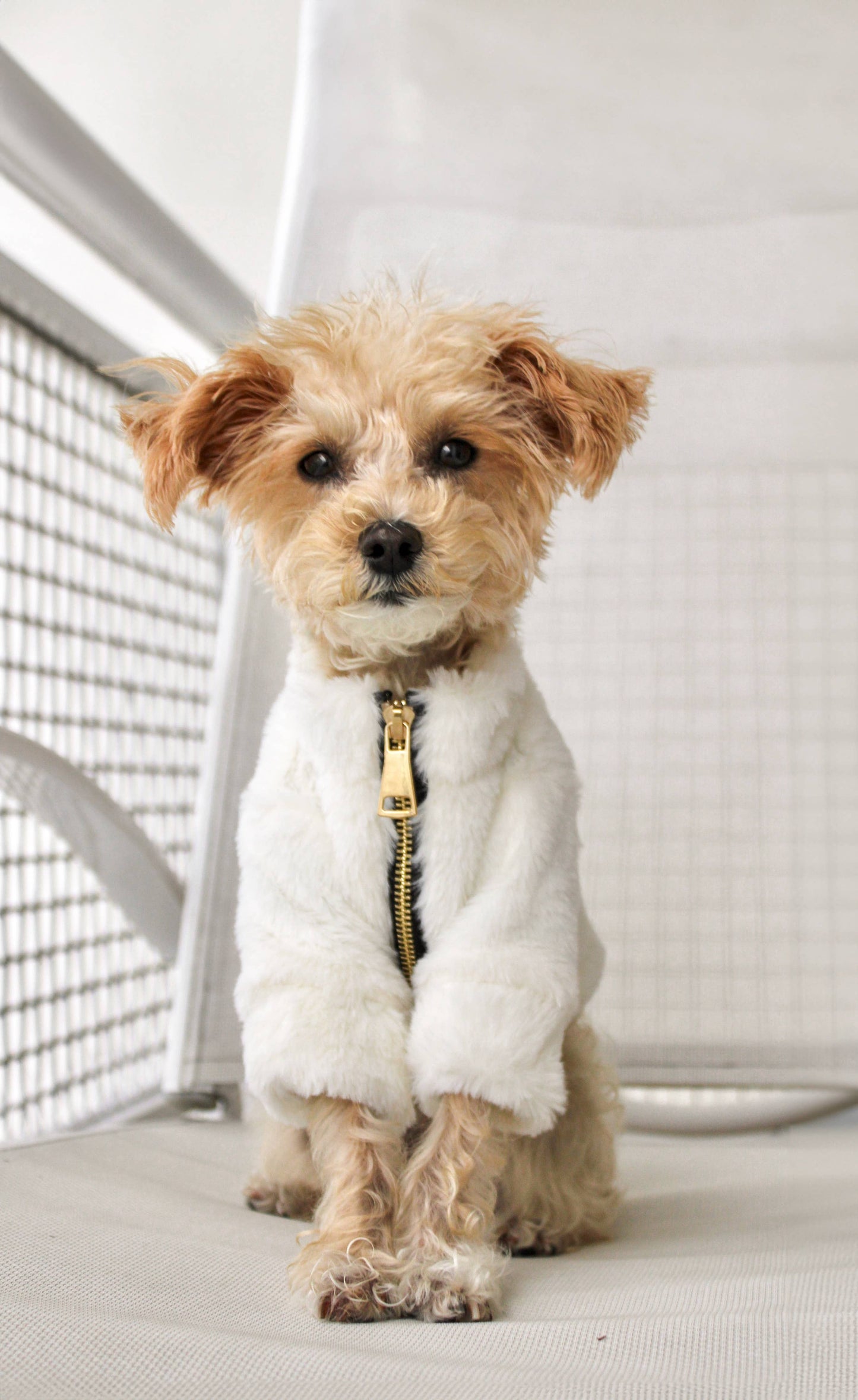 Furi Pet Coat - Bone