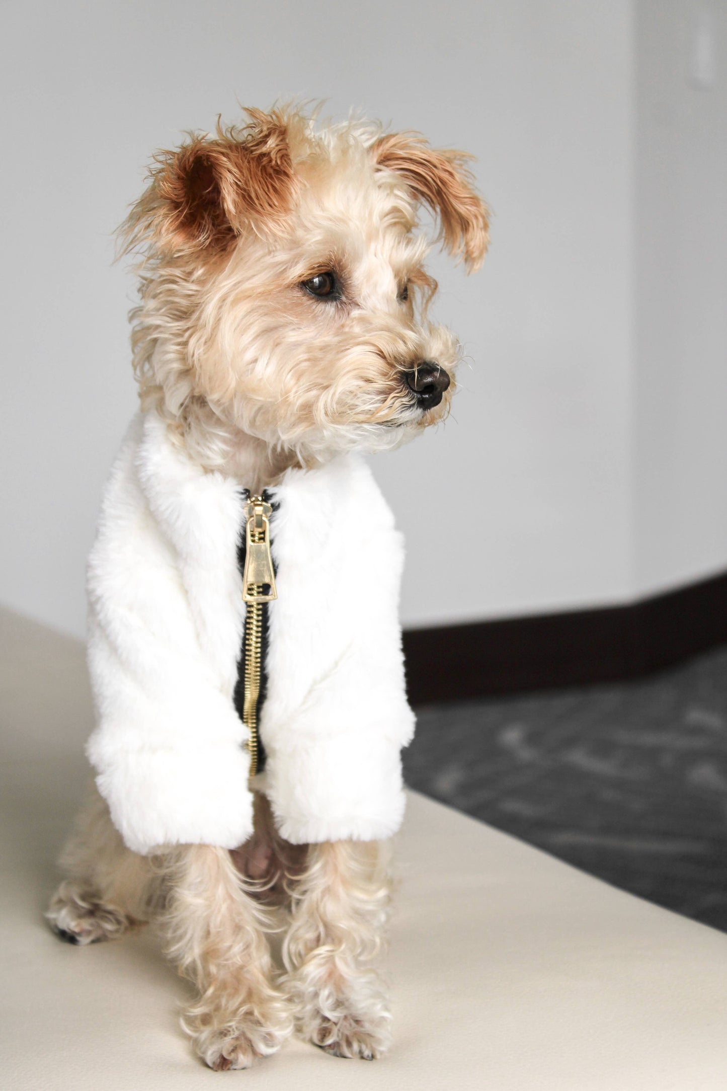 Furi Pet Coat - Bone