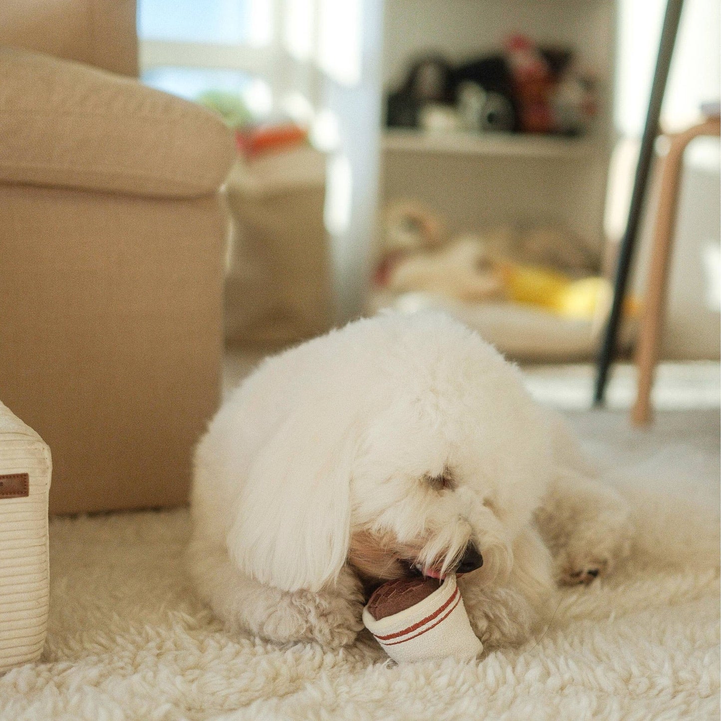 EXPRESSO POP//ENRICHMENT DOG TOY