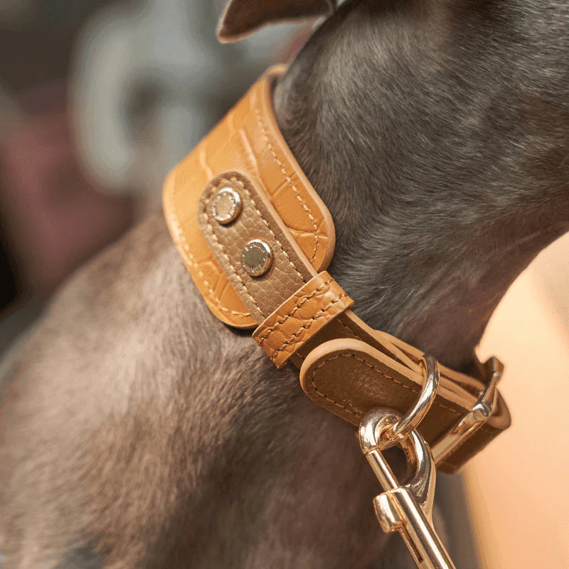 Amber Leather Dog Collar