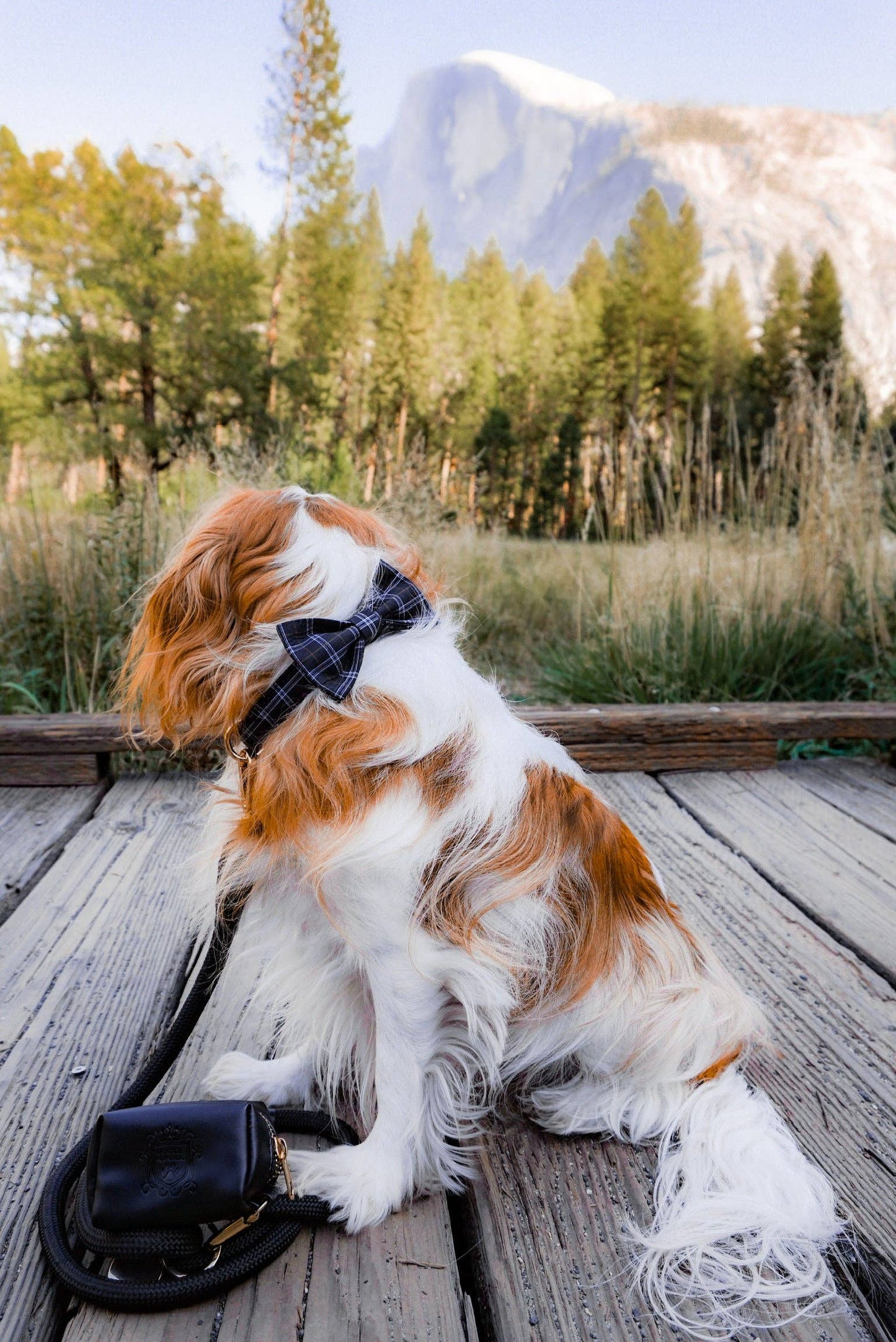 The Classic Waste Bag Holder - Licorice (Gold Hardware)