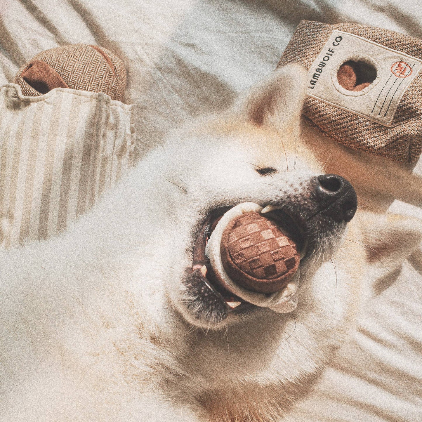 EXPRESSO POP//ENRICHMENT DOG TOY