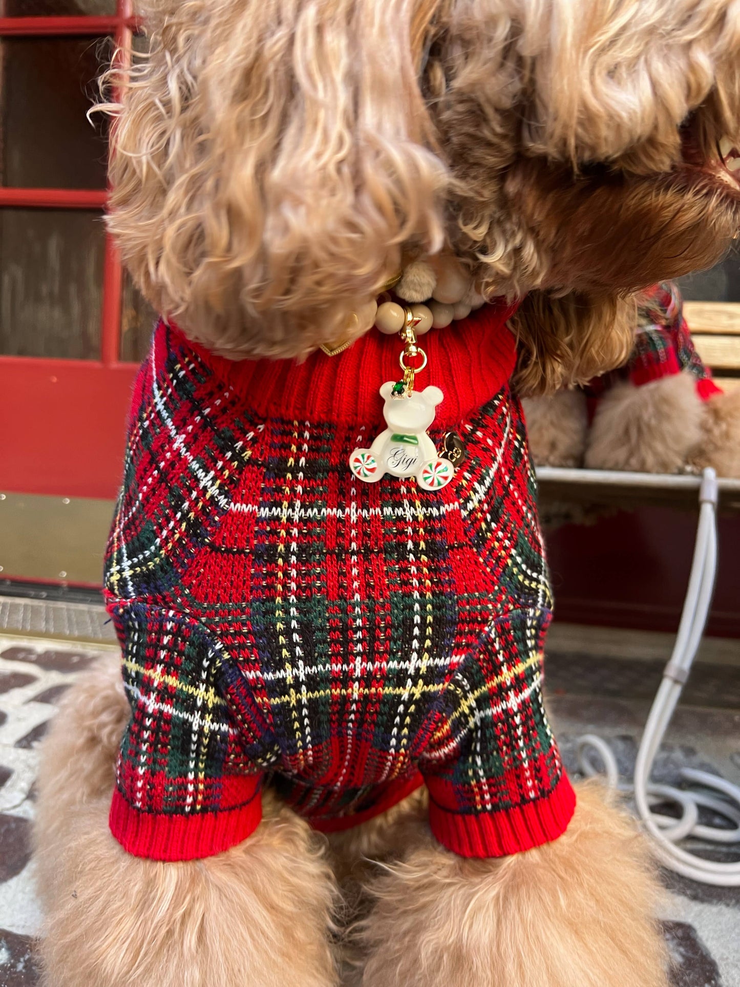 Tartanette Dog Sweater