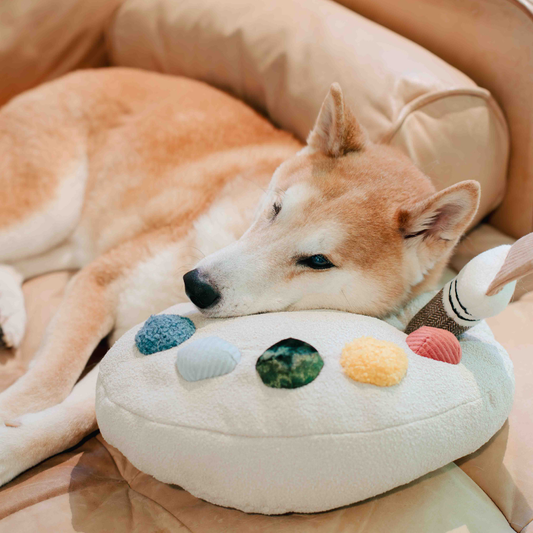 Color Palette Set // ENRICHMENT DOG TOY