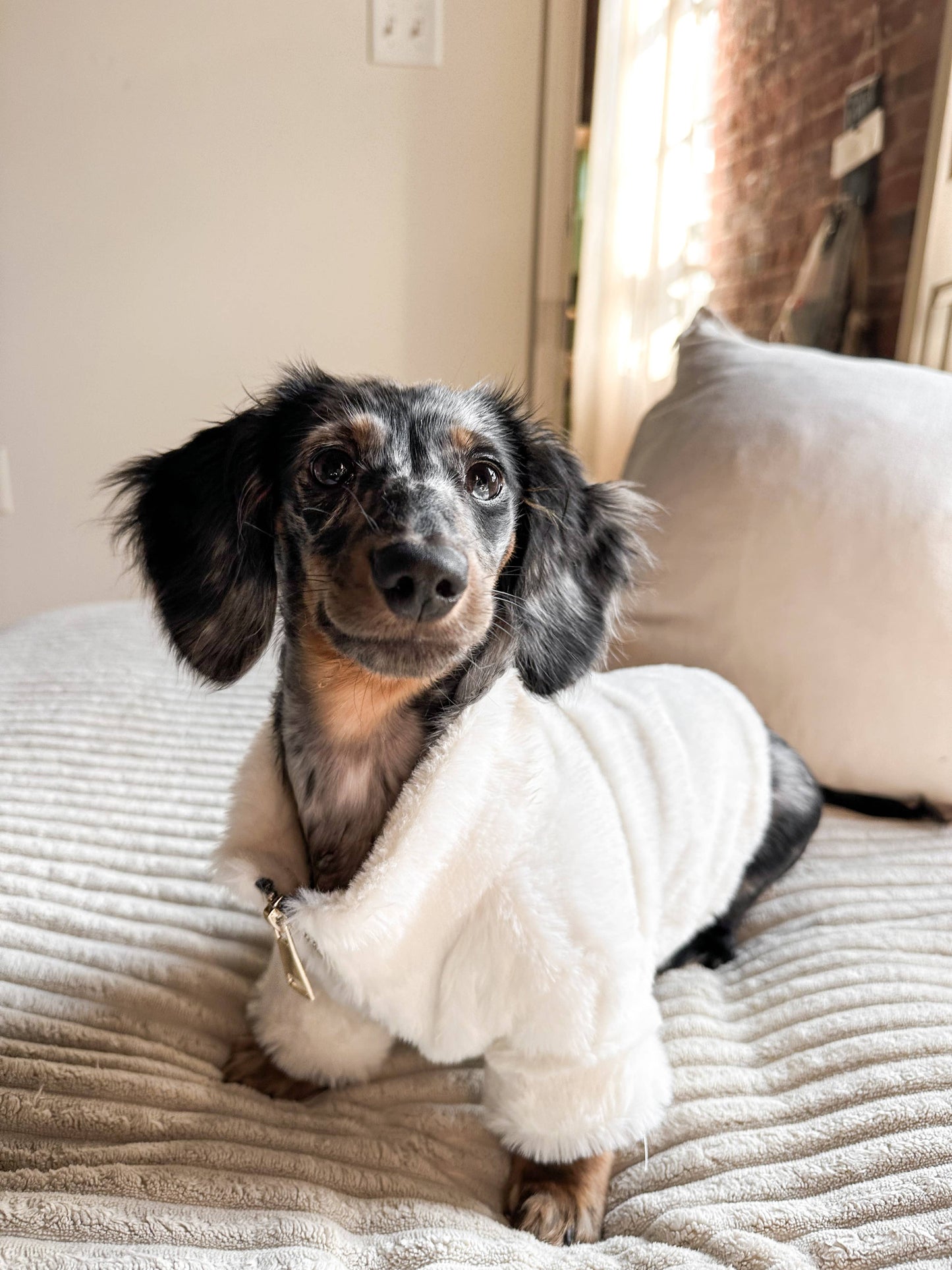 Furi Pet Coat - Bone