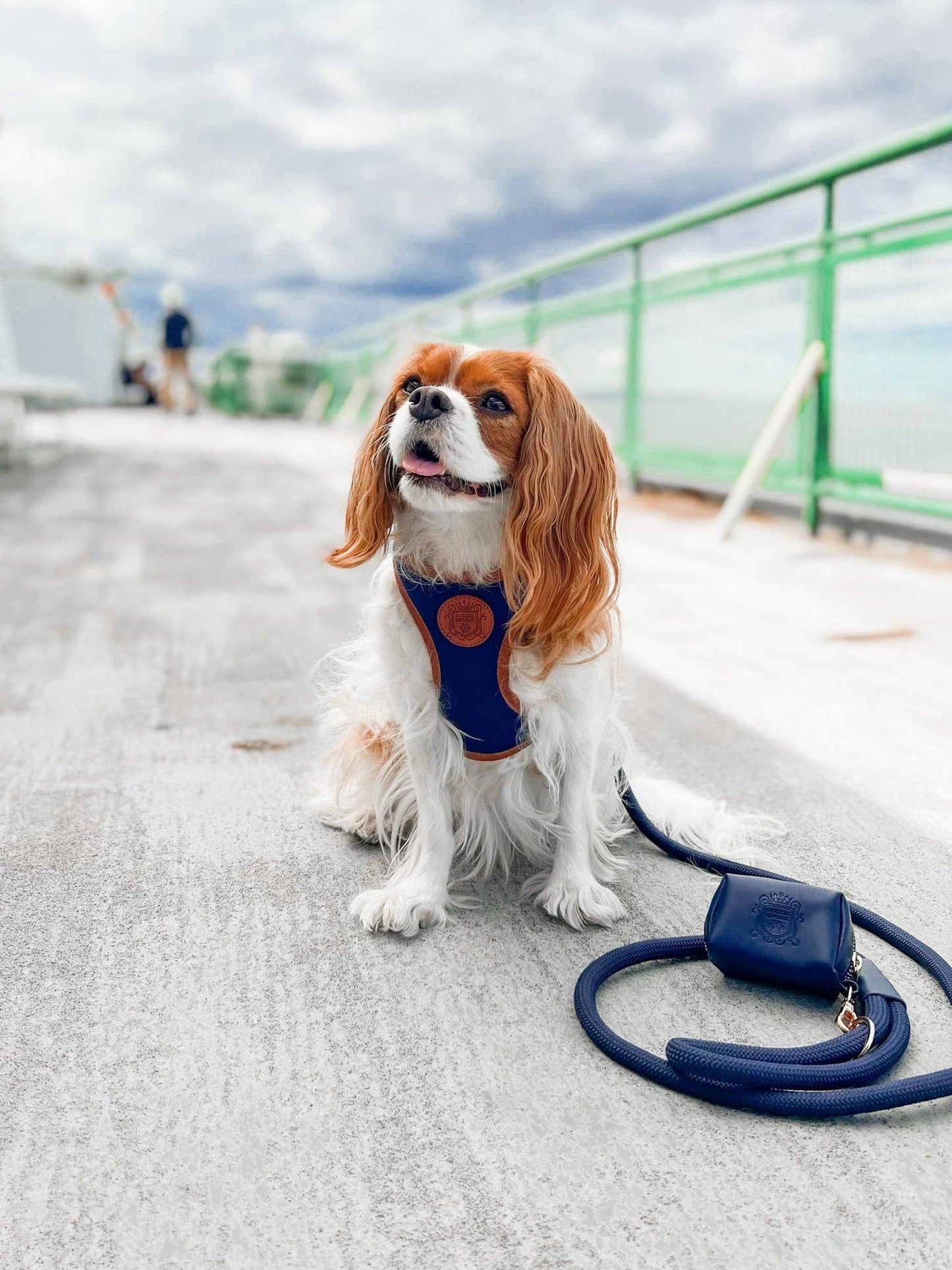 The Classic Waste Bag Holder - Night Sky