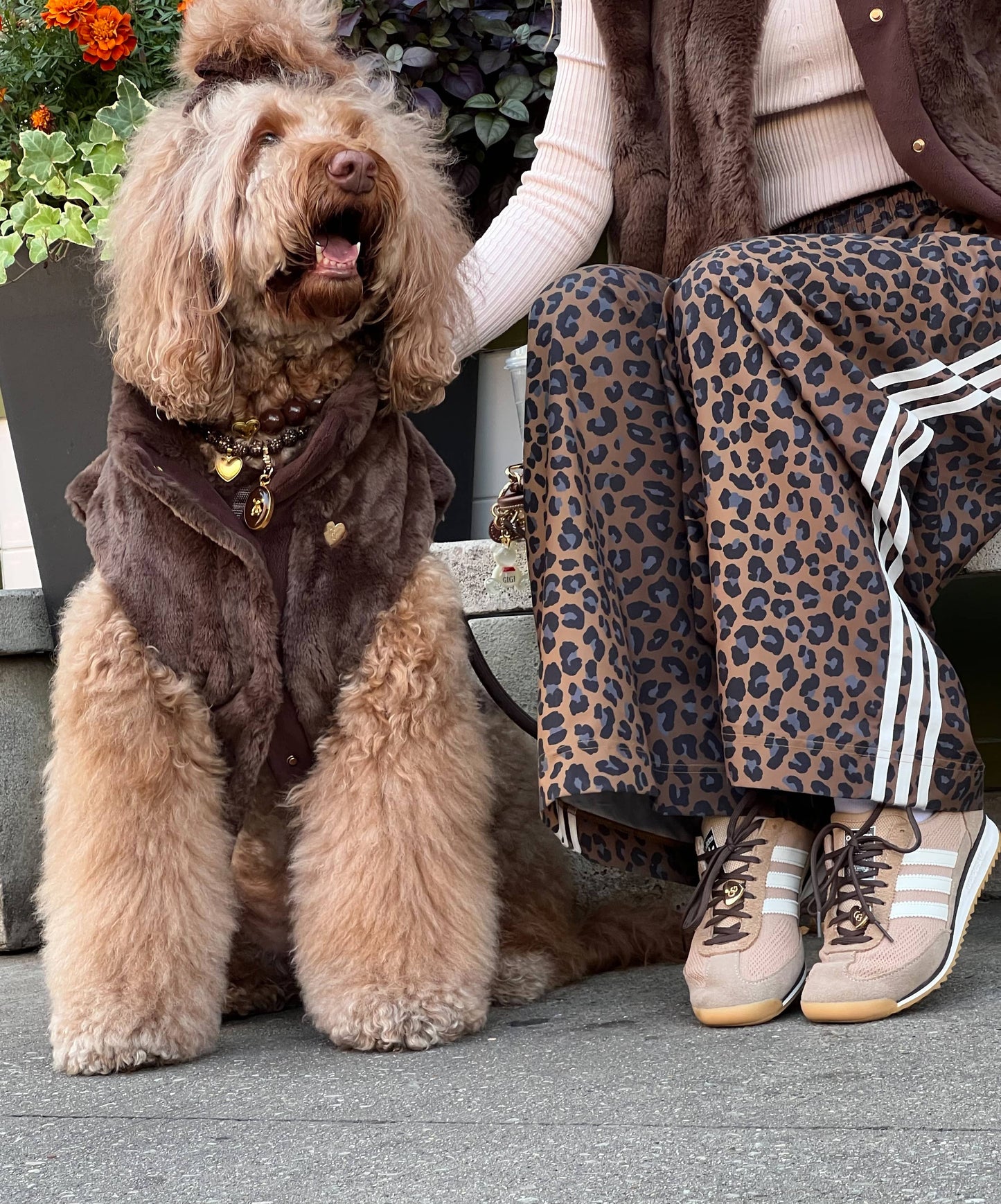 Furlowe Dog Vest - Mocha