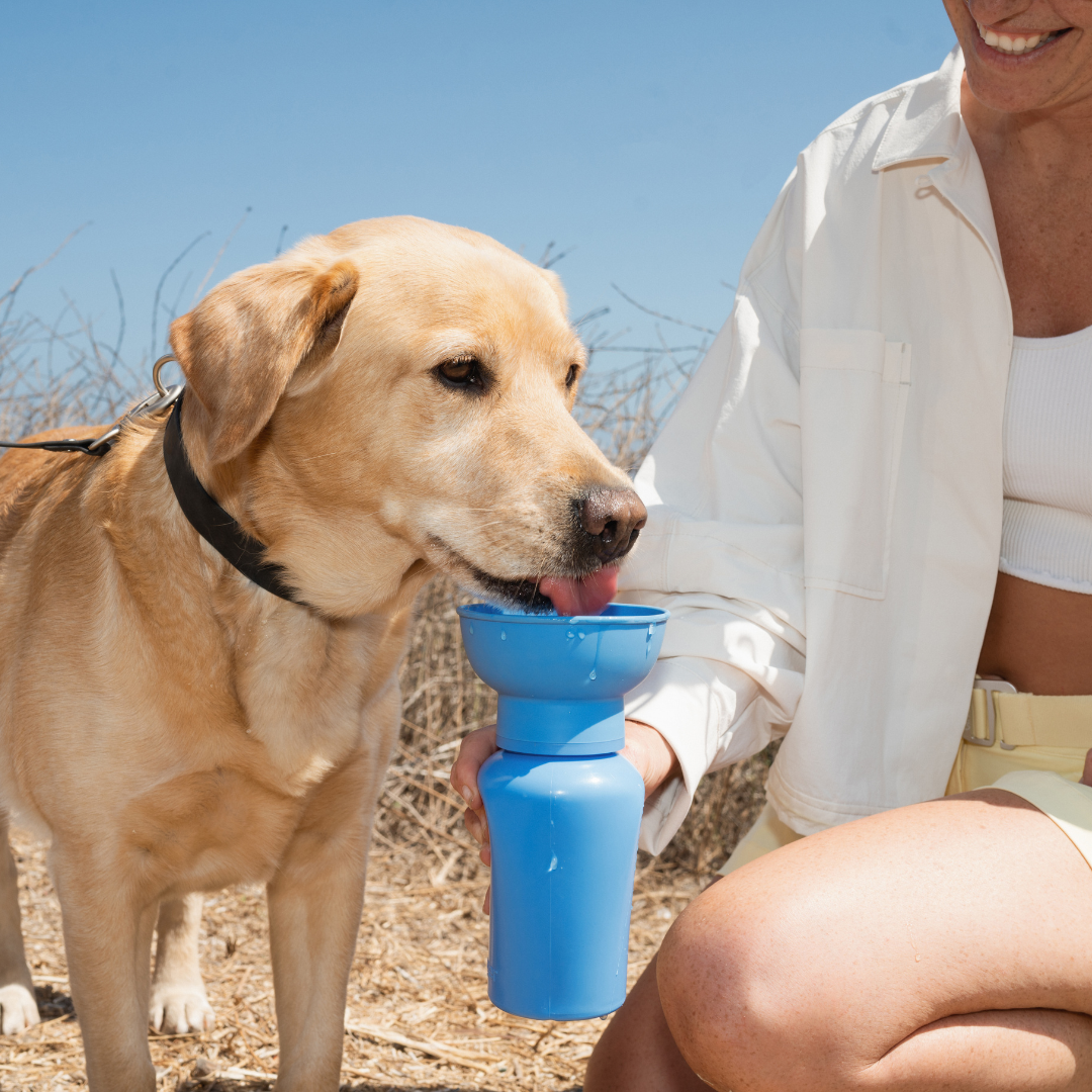 Dog Travel Water Bottle - 20oz Flip