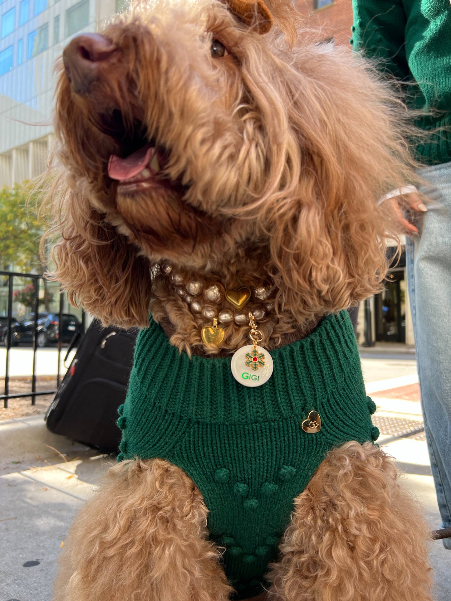 Heartknit Dog Sweater - Evergreen
