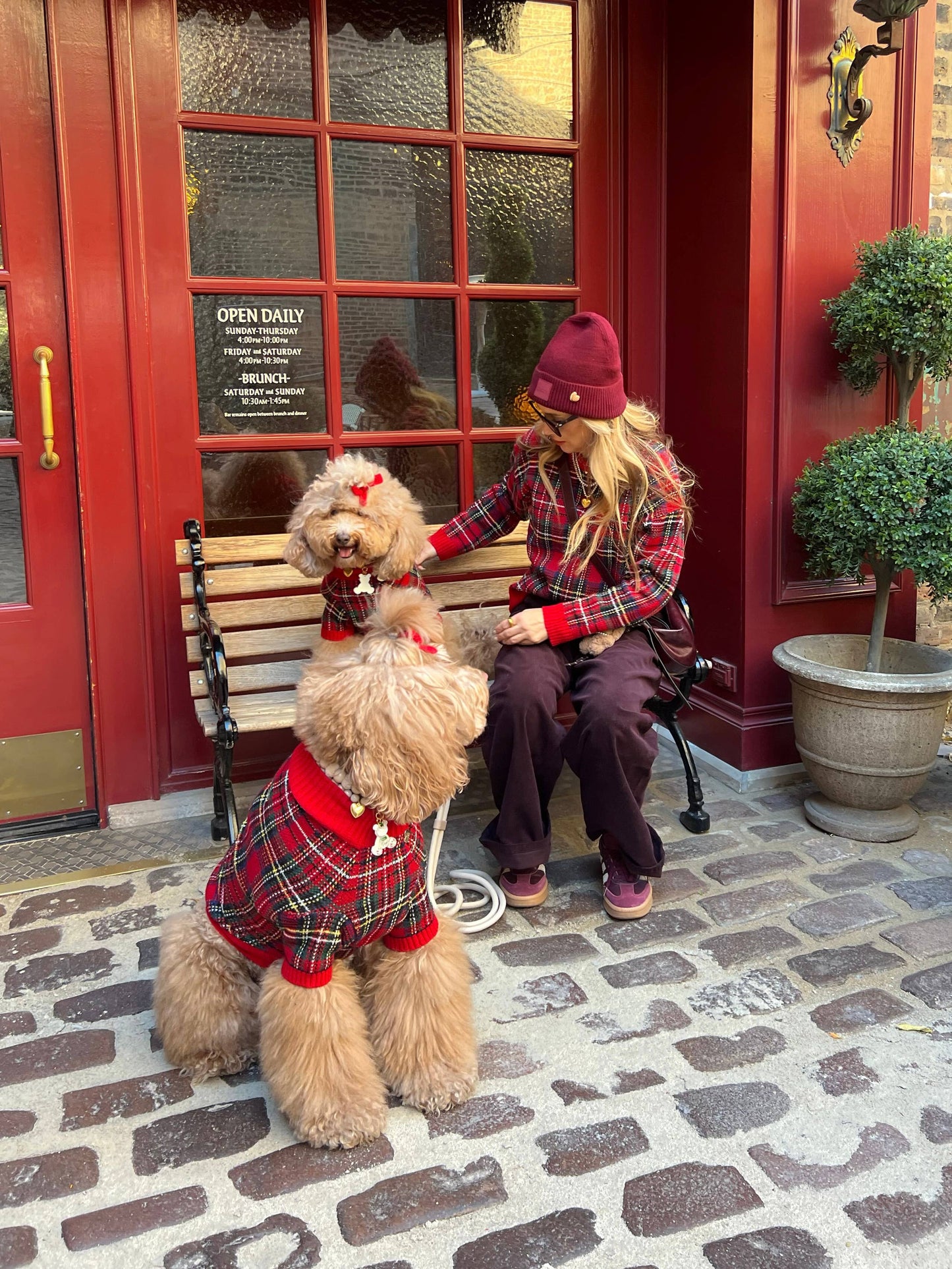 Tartanette Dog Sweater