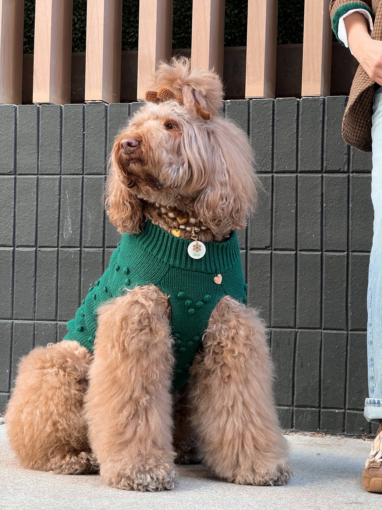 Heartknit Dog Sweater - Evergreen