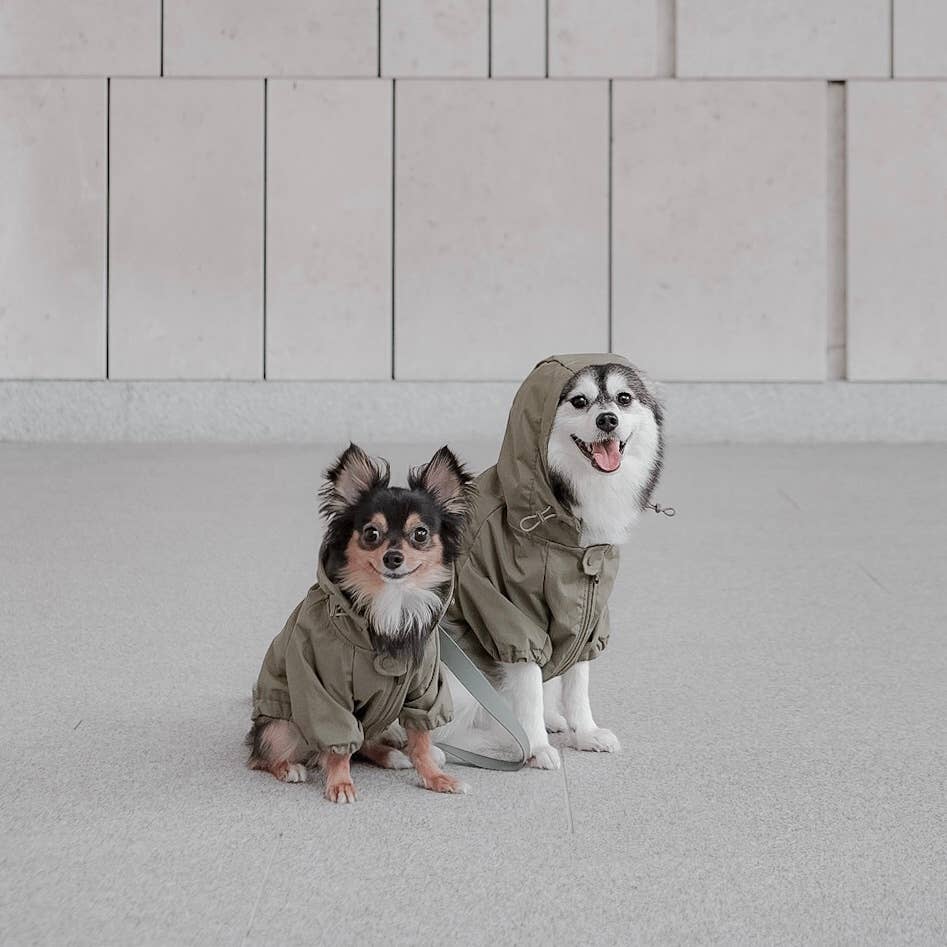 BROOKLYN//DOG CLOTHING//APPAREL