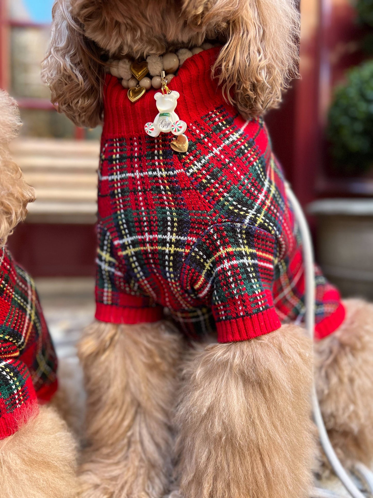 Tartanette Dog Sweater