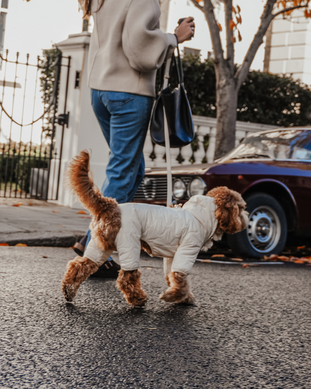 Marshmallow | The Capsule Quilted Bodysuit