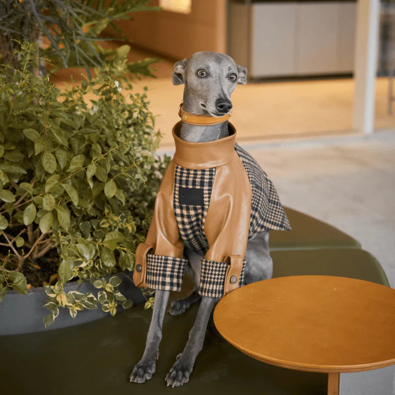 Ashwood Checkered Jacket