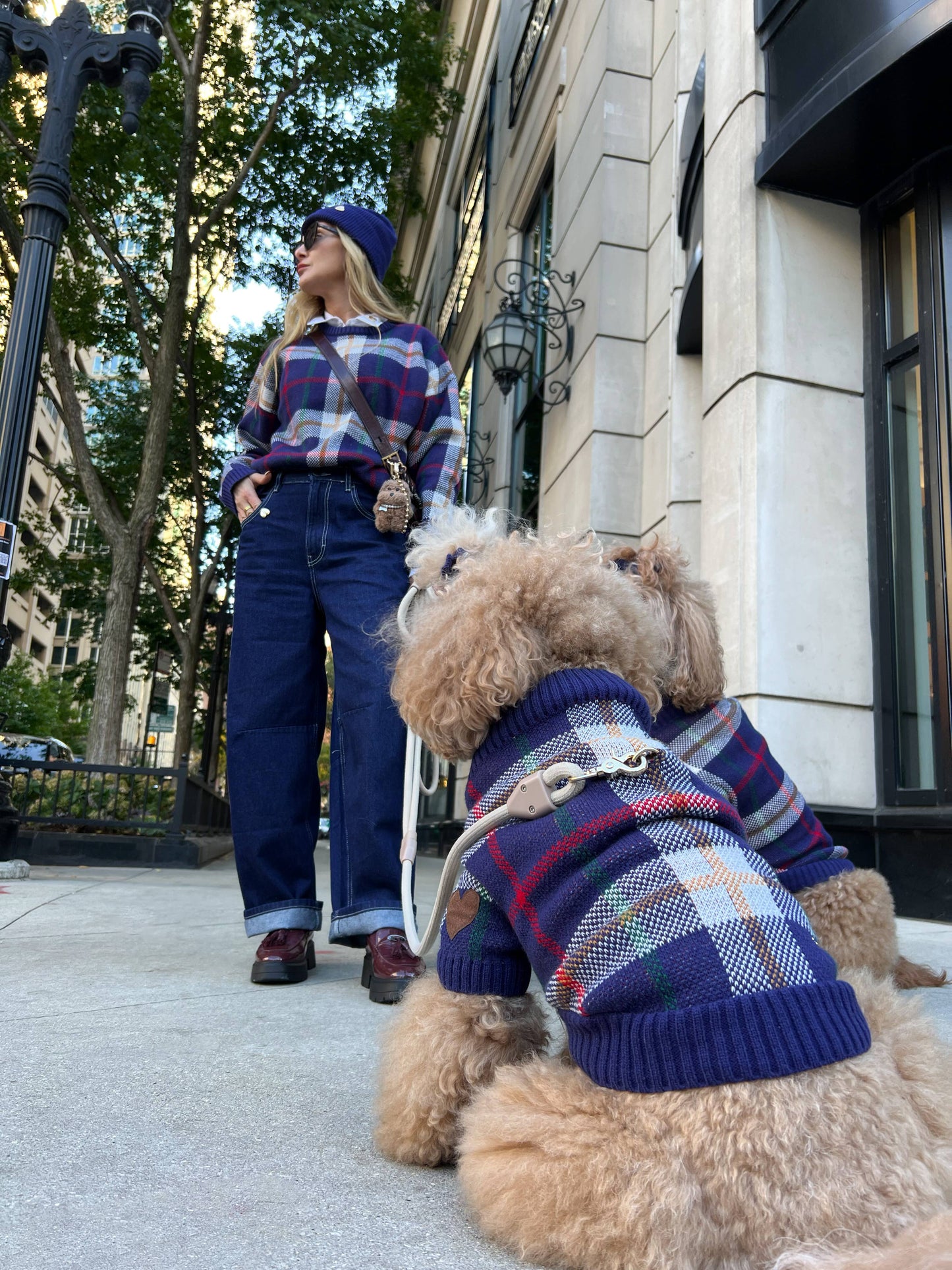 Hearthside Dog Sweater