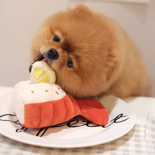 Grilled Lobster Nosework Toy