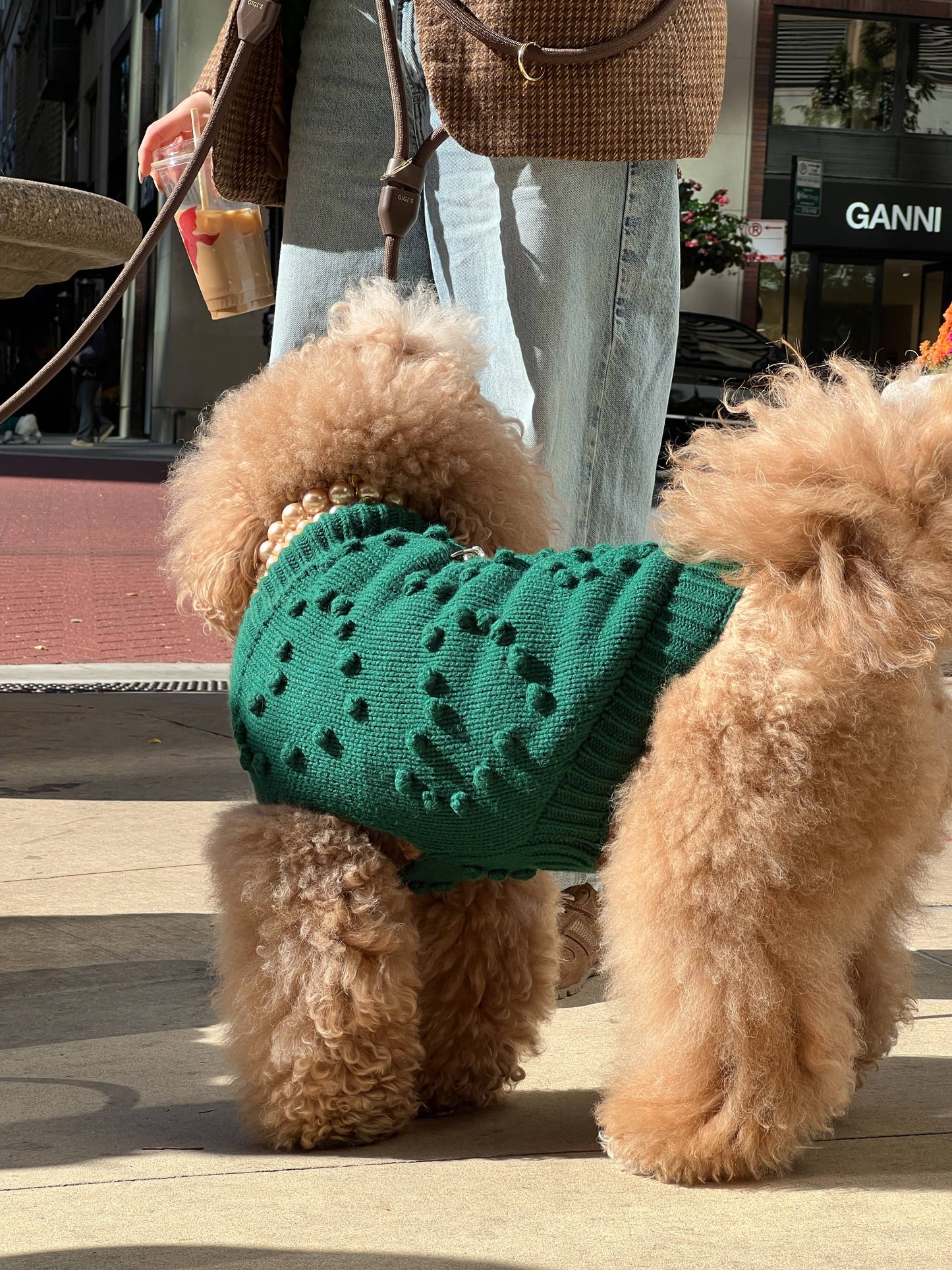 Heartknit Dog Sweater - Evergreen