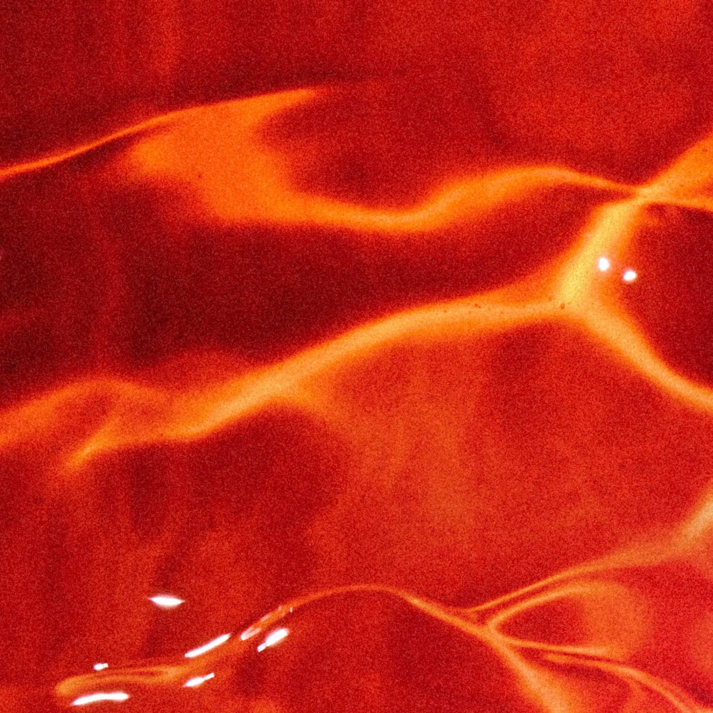 Wild-Caught Alaskan Sockeye Salmon Oil, Skin & Coat Health