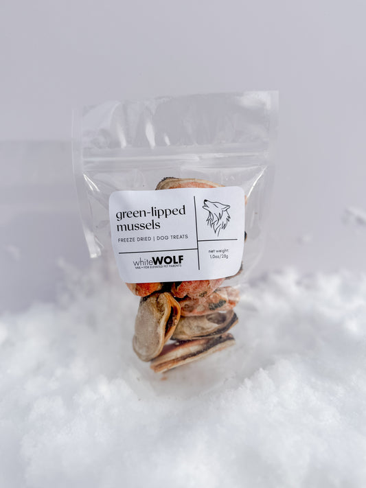 green lipped mussels