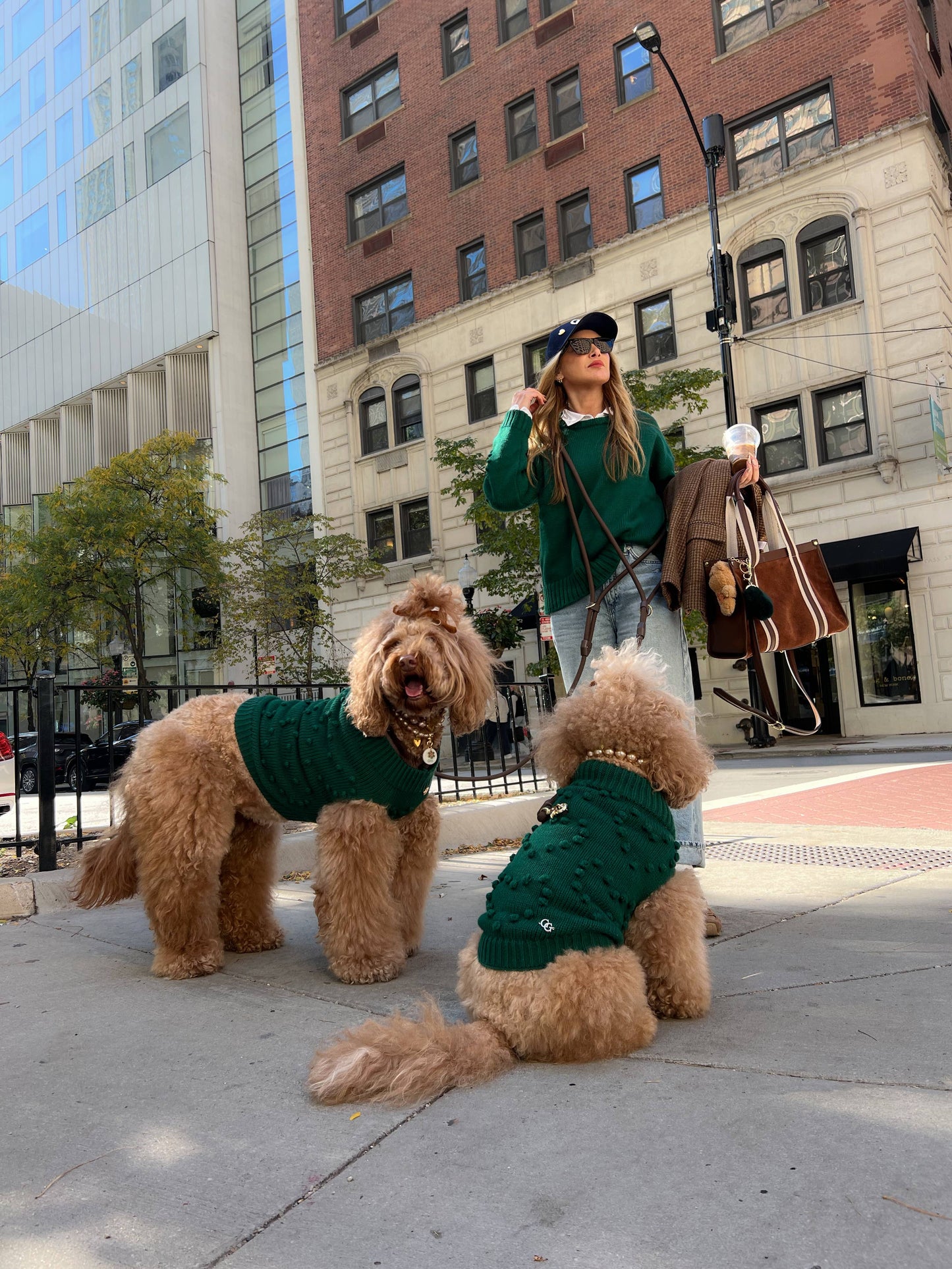 Heartknit Dog Sweater - Evergreen