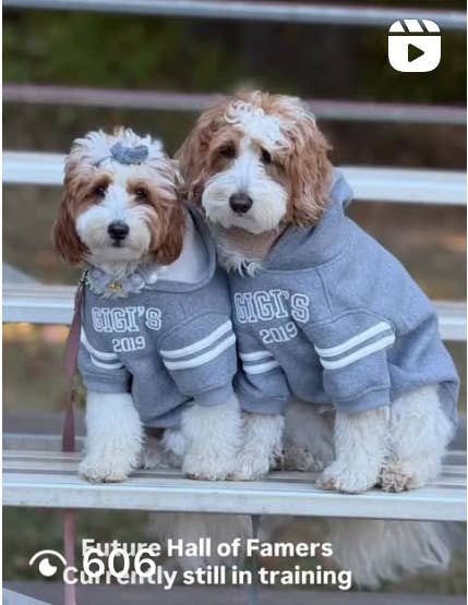 Heritage 2019 Dog Hoodie