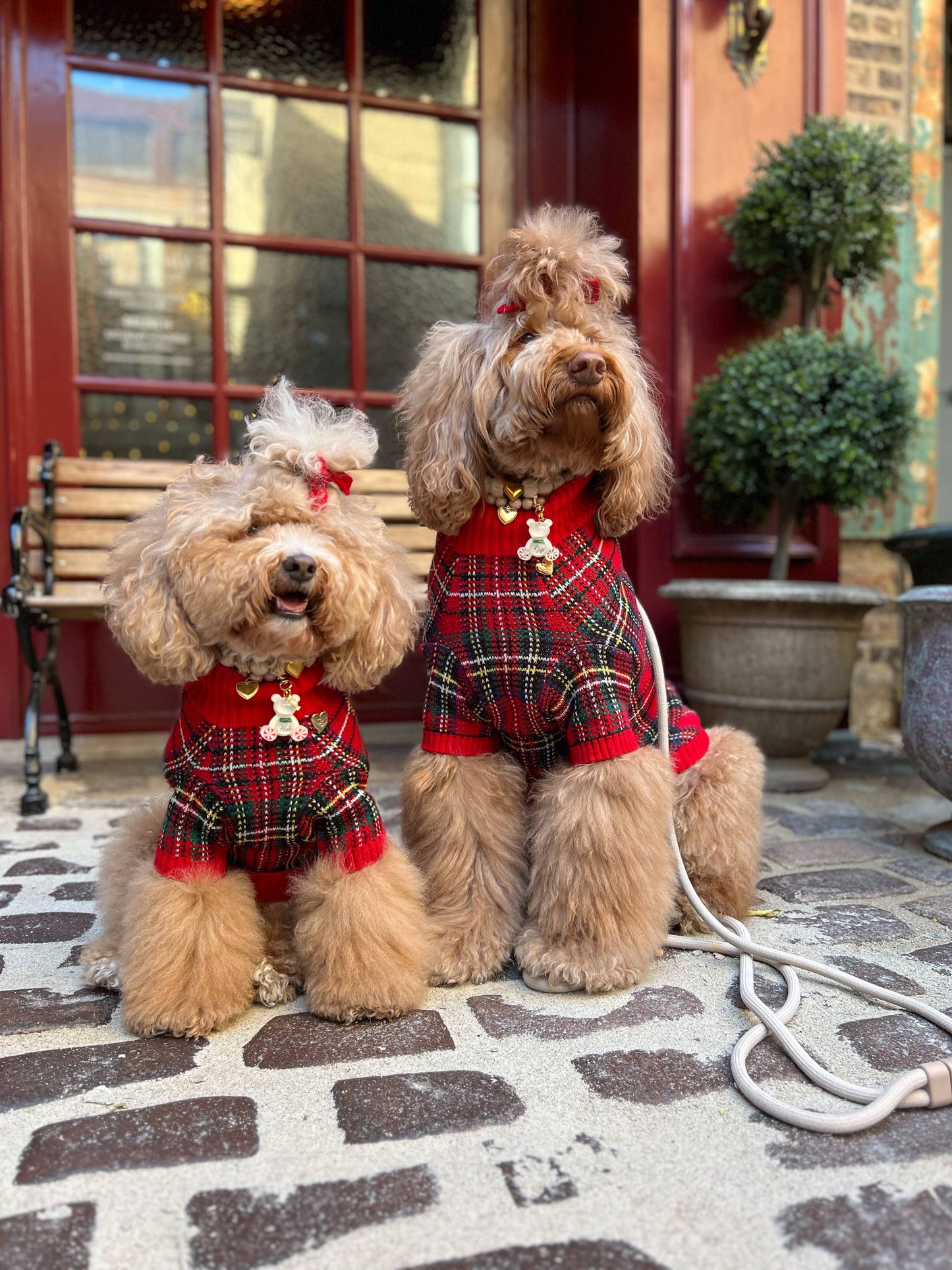 Tartanette Dog Sweater