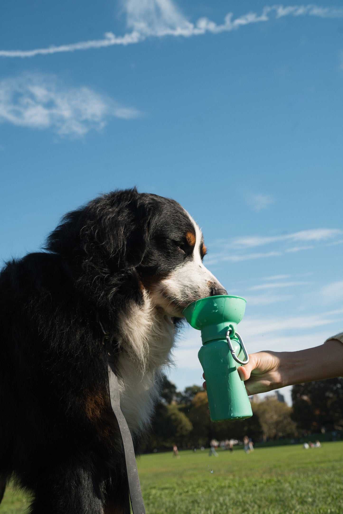 Dog Travel Water Bottle - 20oz Flip