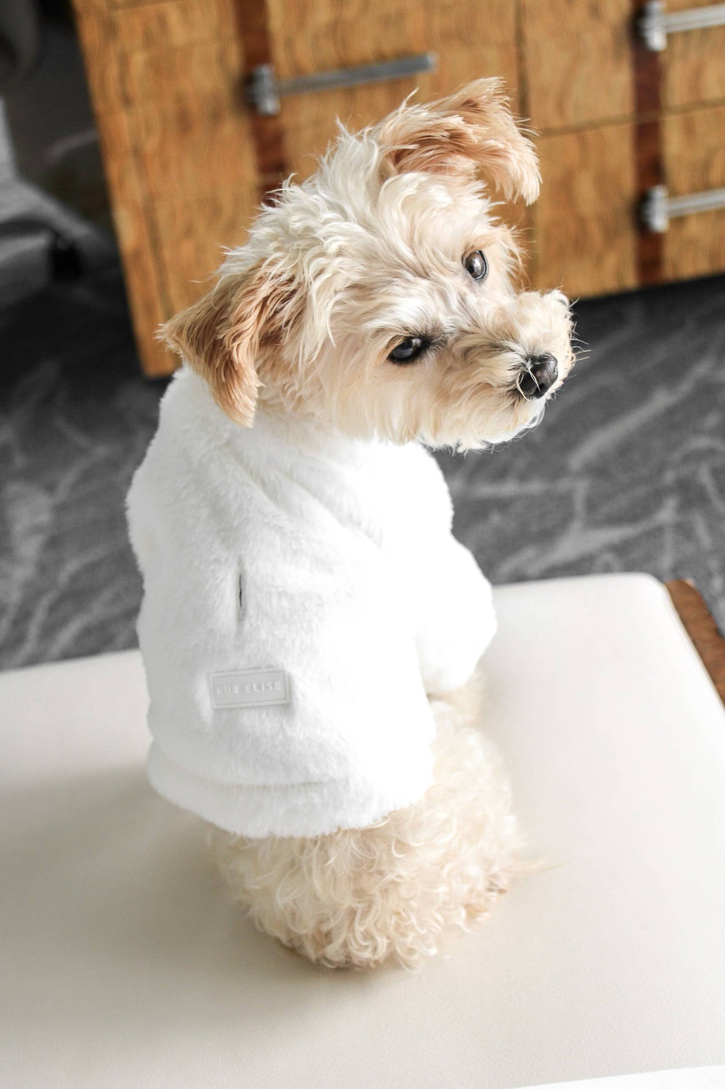 Furi Pet Coat - Bone