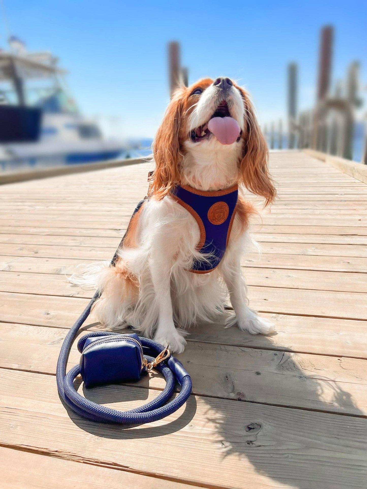 The Classic Waste Bag Holder - Night Sky