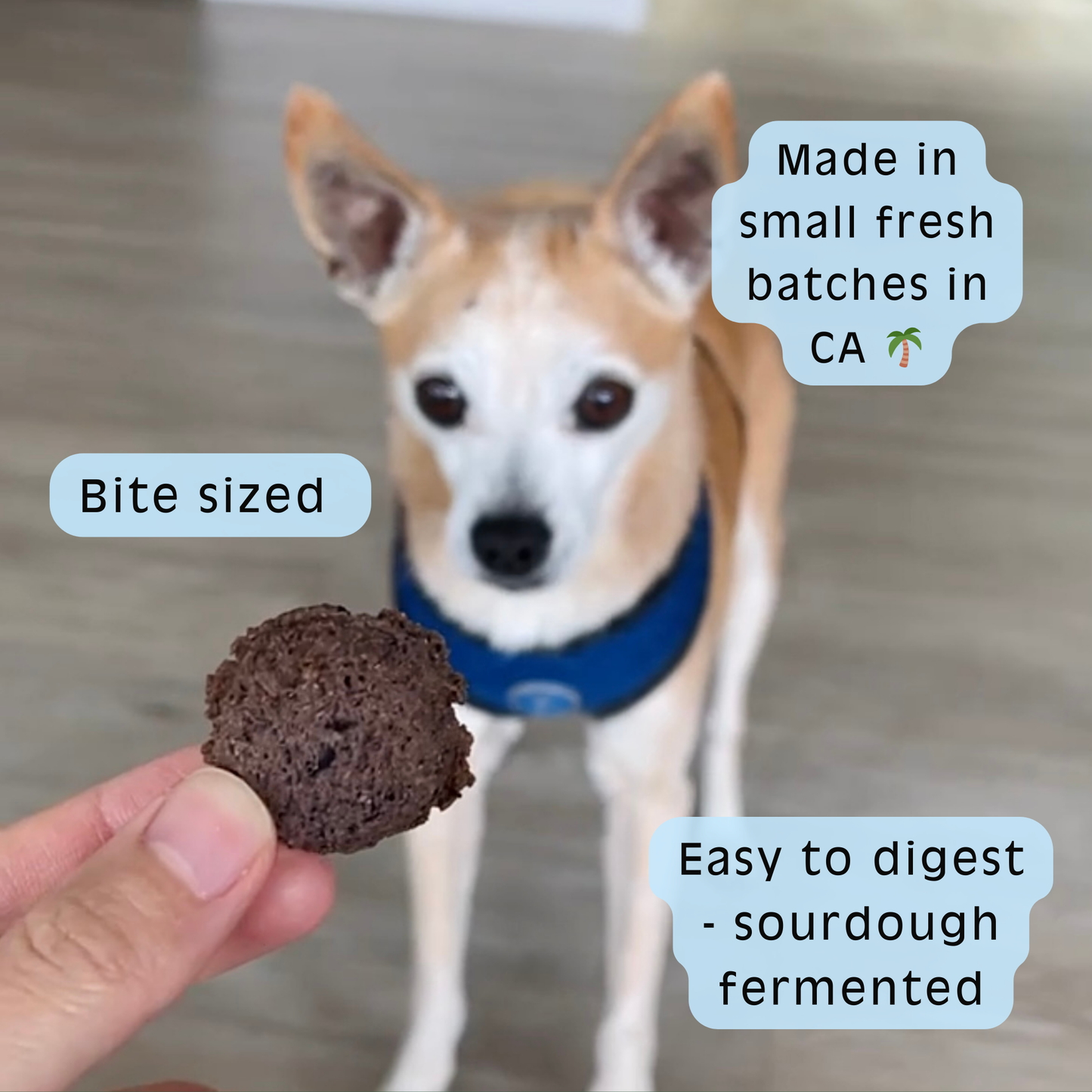 Blueberry Sourdough Dog Treats - Gut Friendly | 3.5 oz