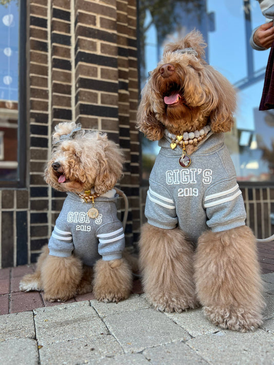 Heritage 2019 Dog Hoodie