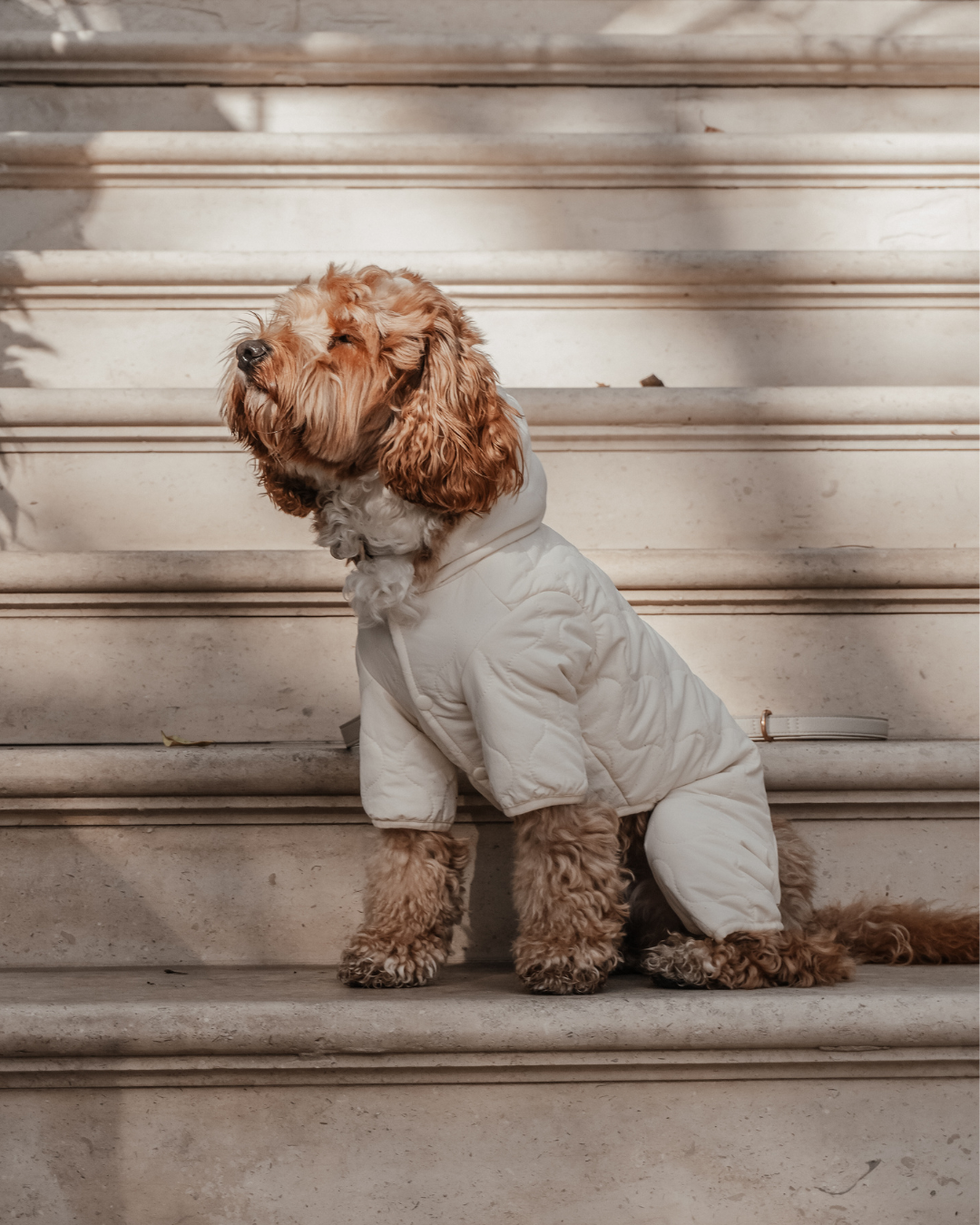Marshmallow | The Capsule Quilted Bodysuit