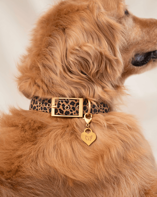 Wander! Waterproof Collar Leopard