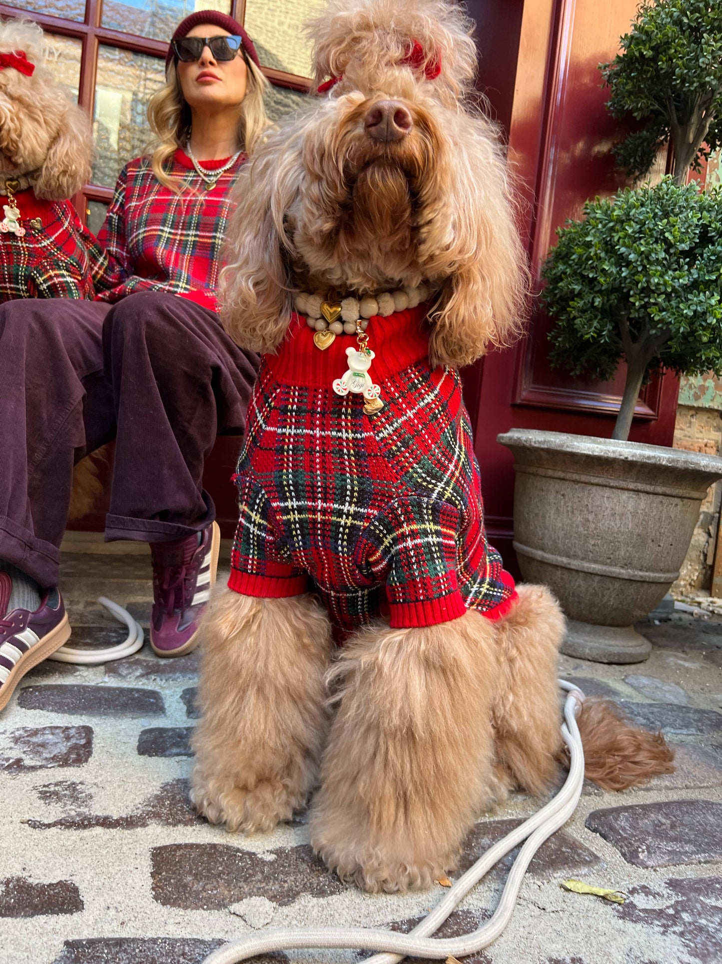 Tartanette Dog Sweater