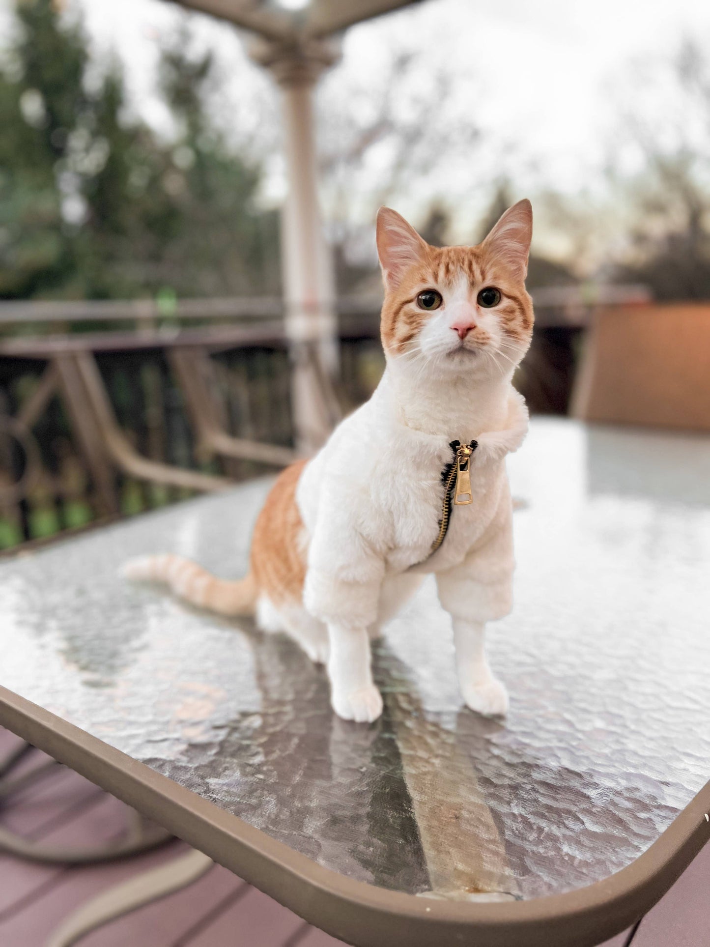 Furi Pet Coat - Bone