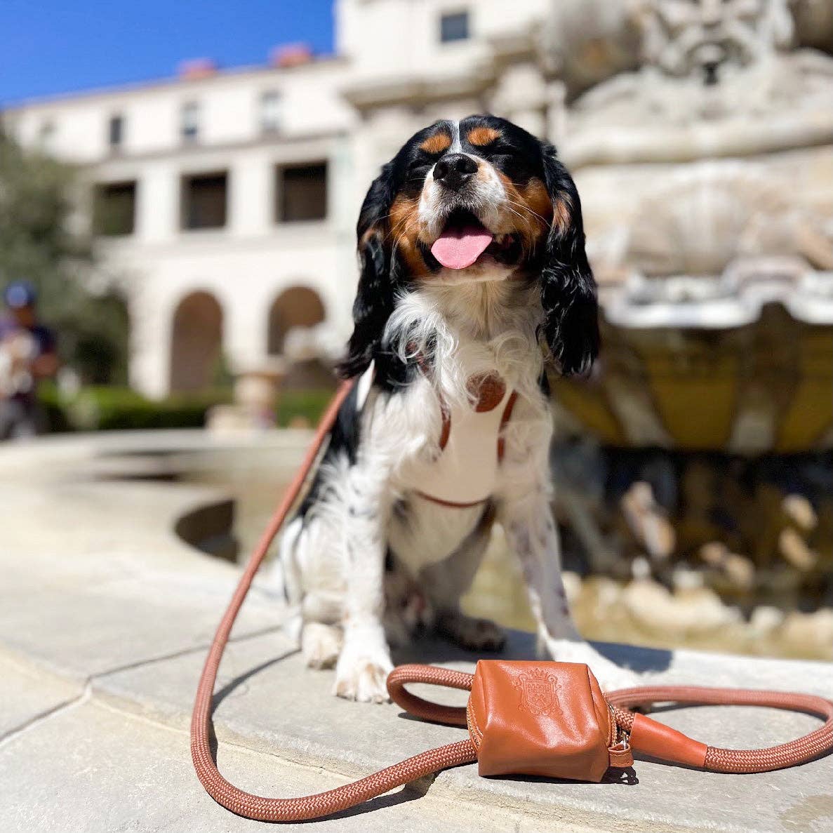 The Classic Waste Bag Holder - Saddle