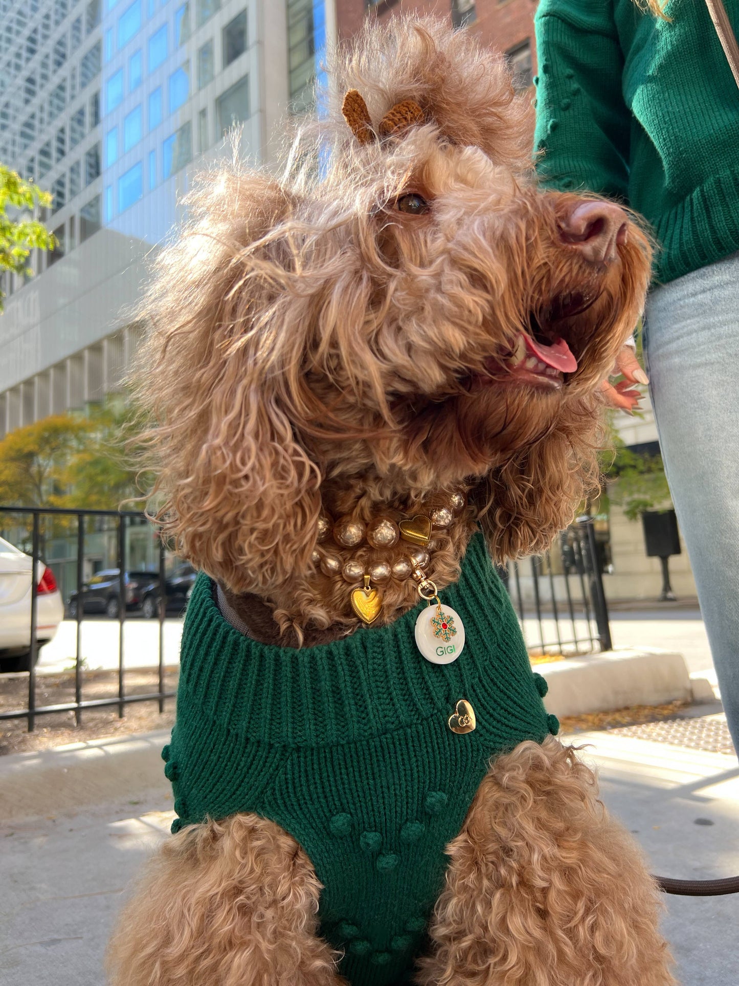 Heartknit Dog Sweater - Evergreen