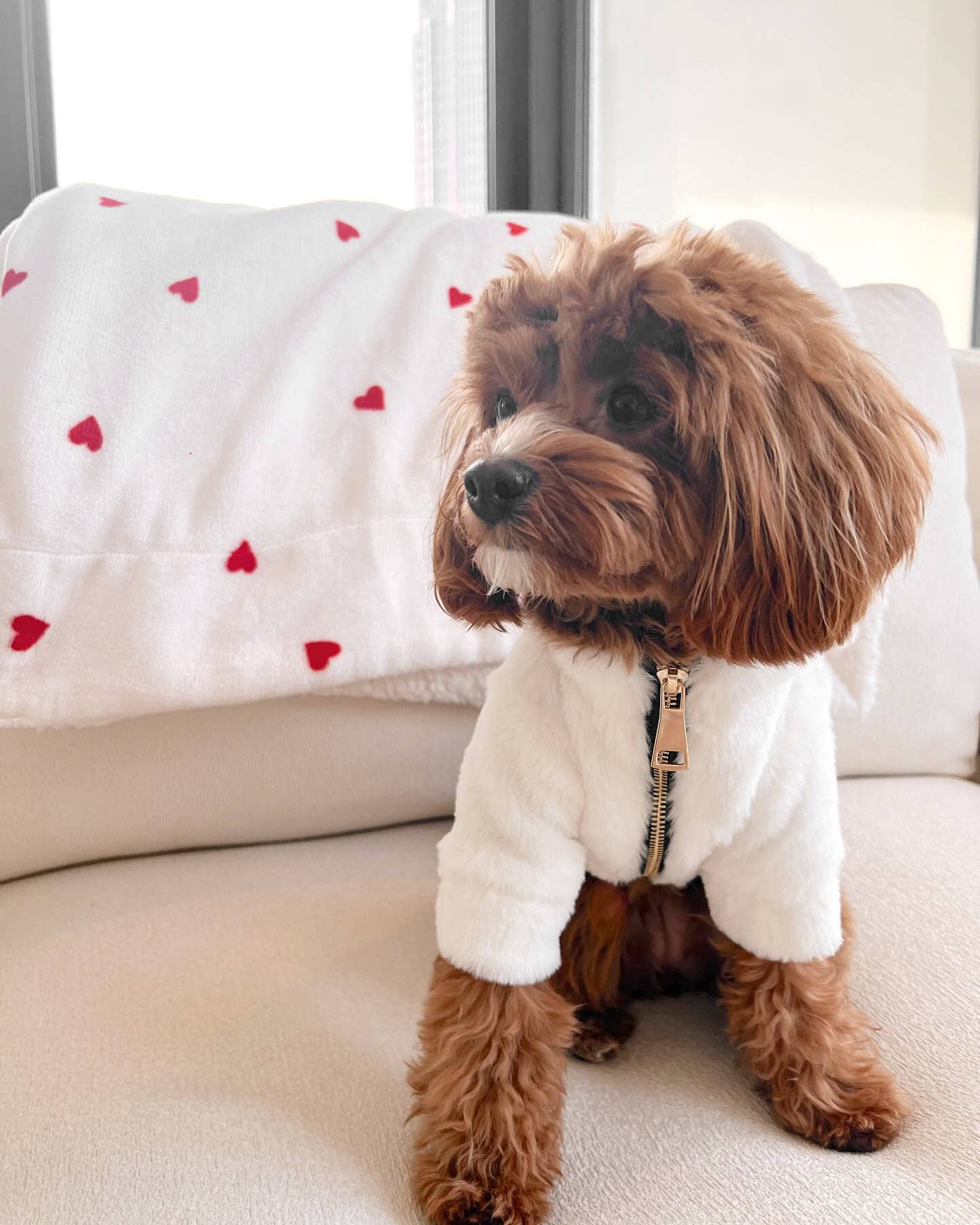 Furi Pet Coat - Bone