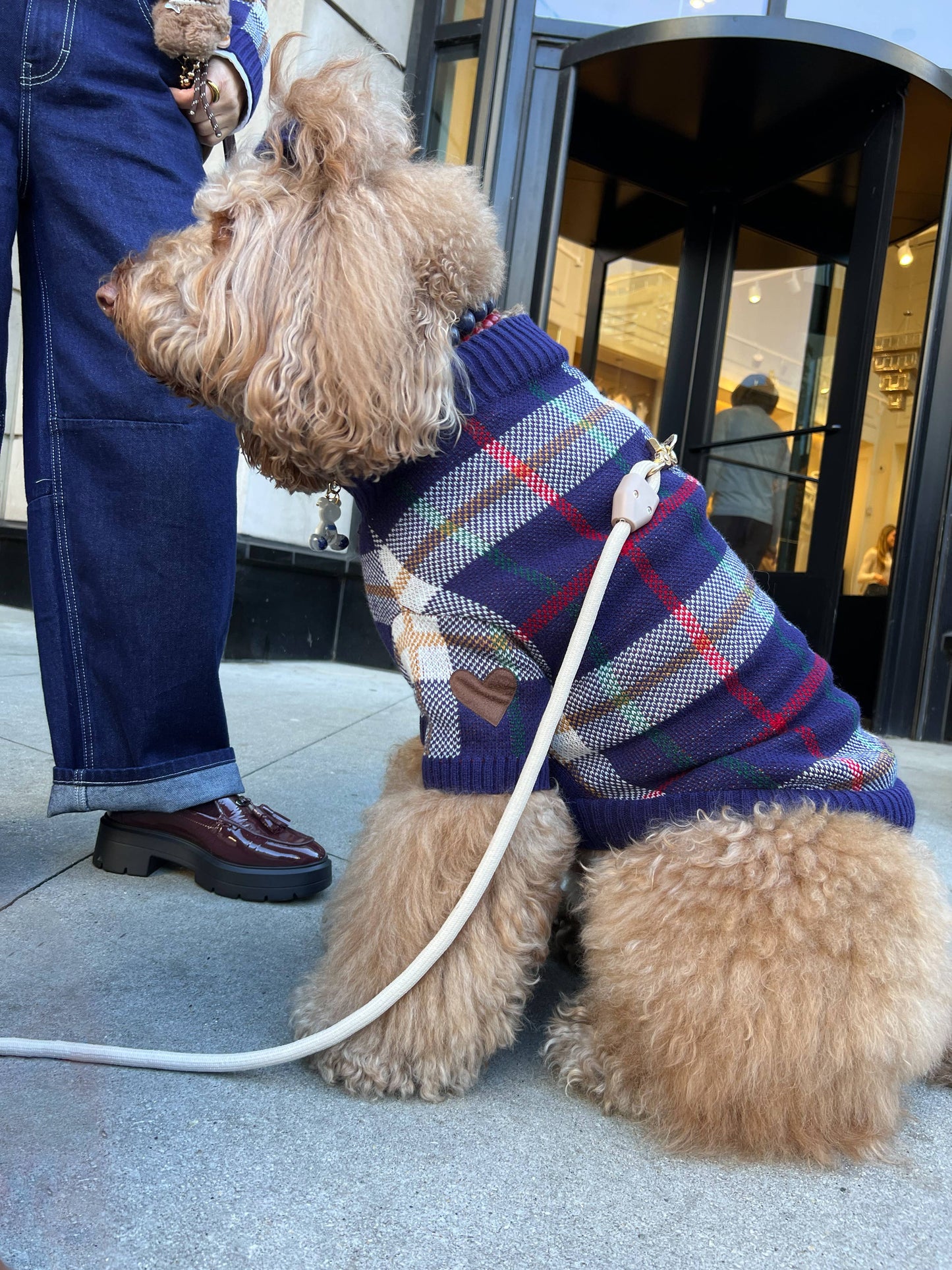 Hearthside Dog Sweater