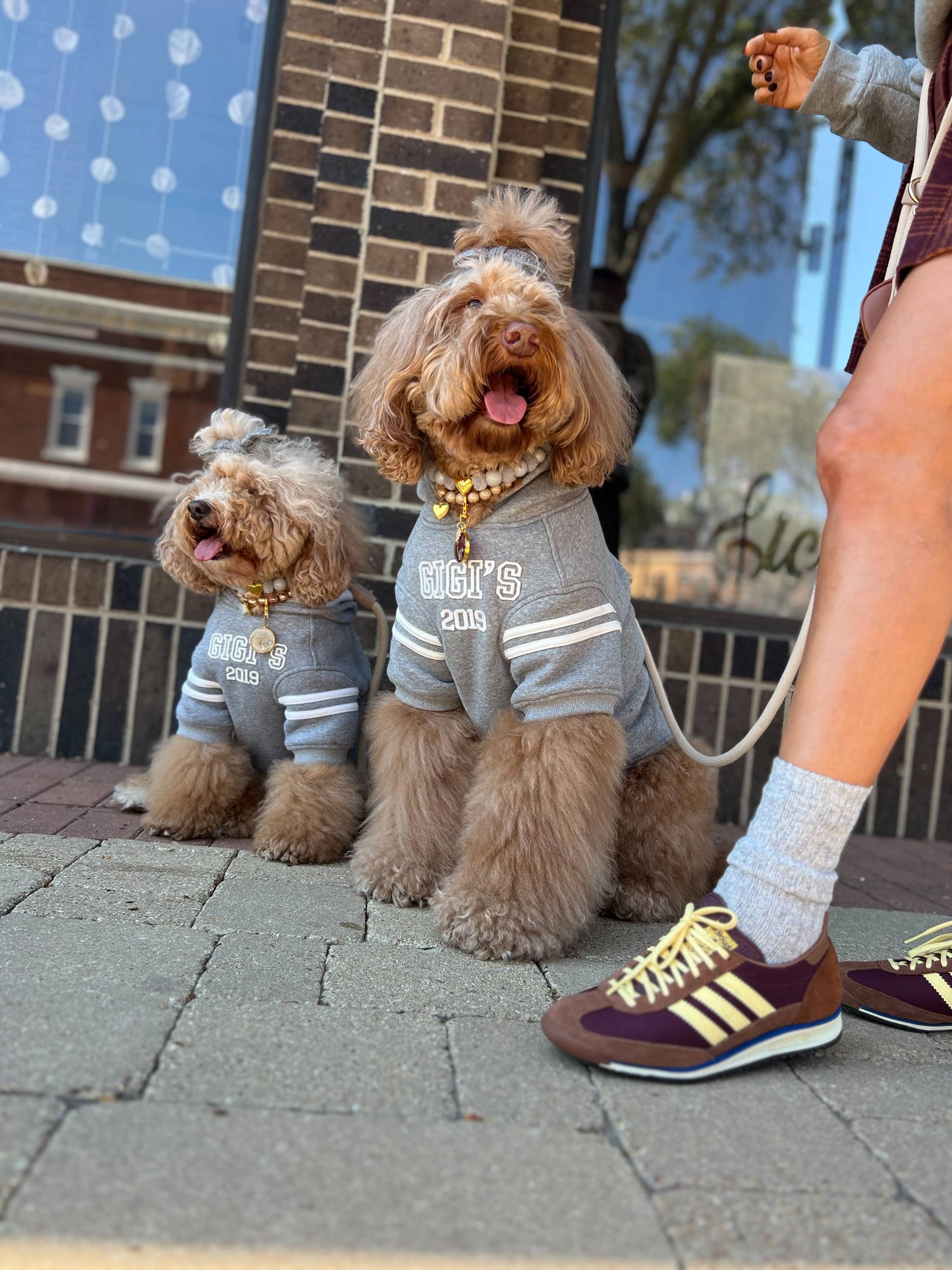 Heritage 2019 Dog Hoodie