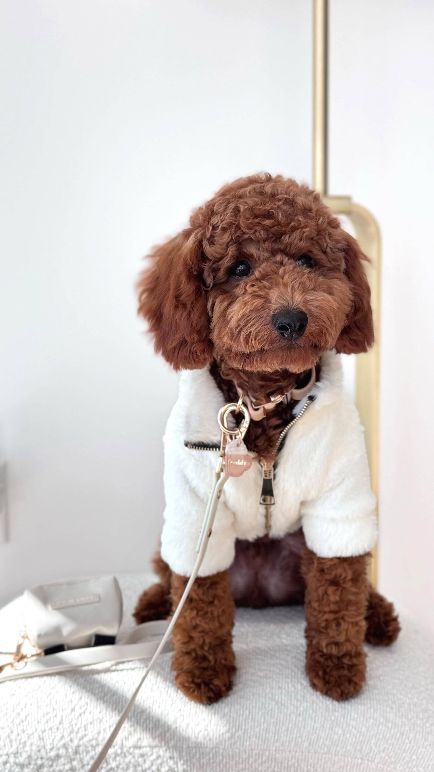 Furi Pet Coat - Bone