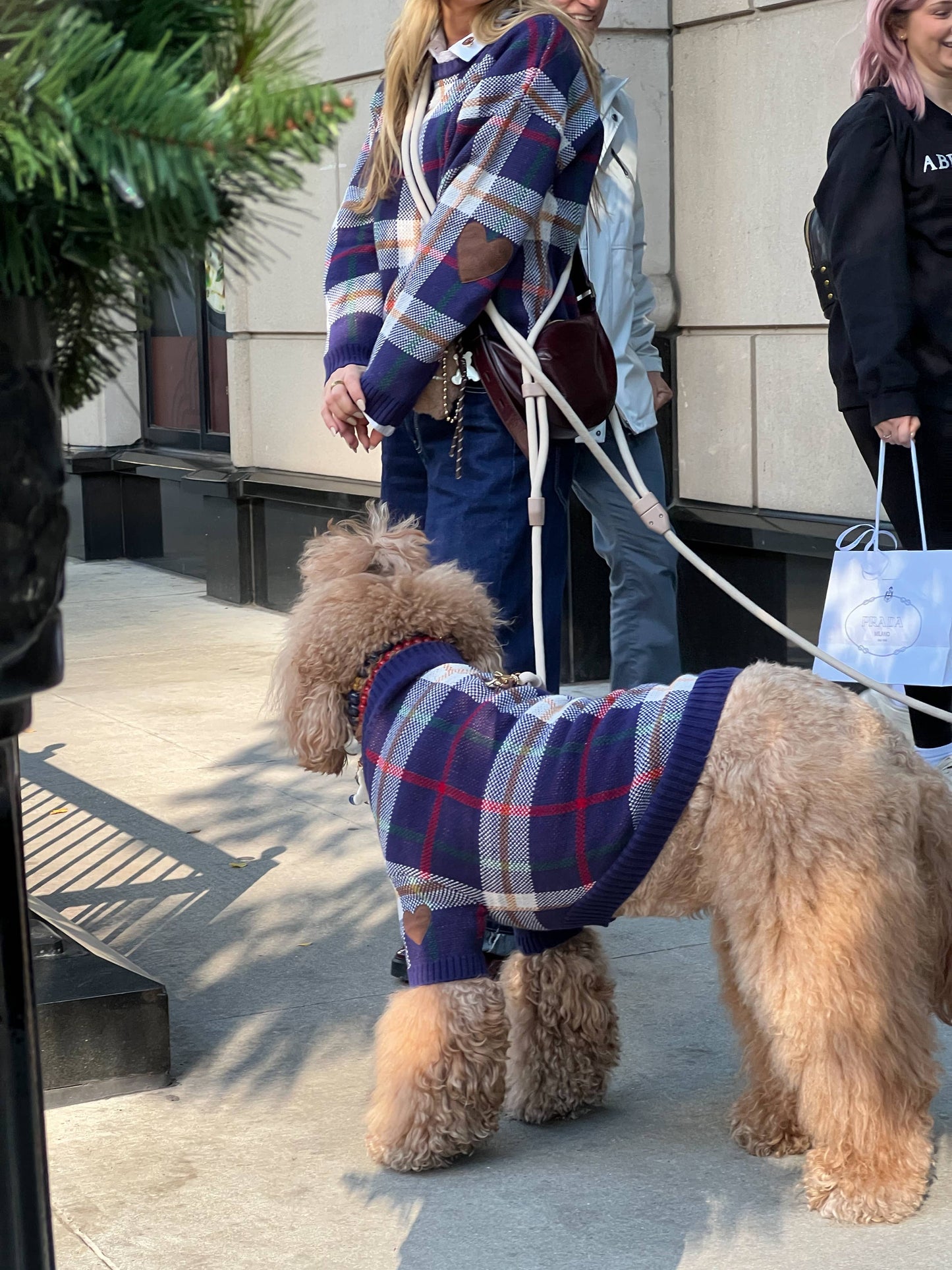 Hearthside Dog Sweater