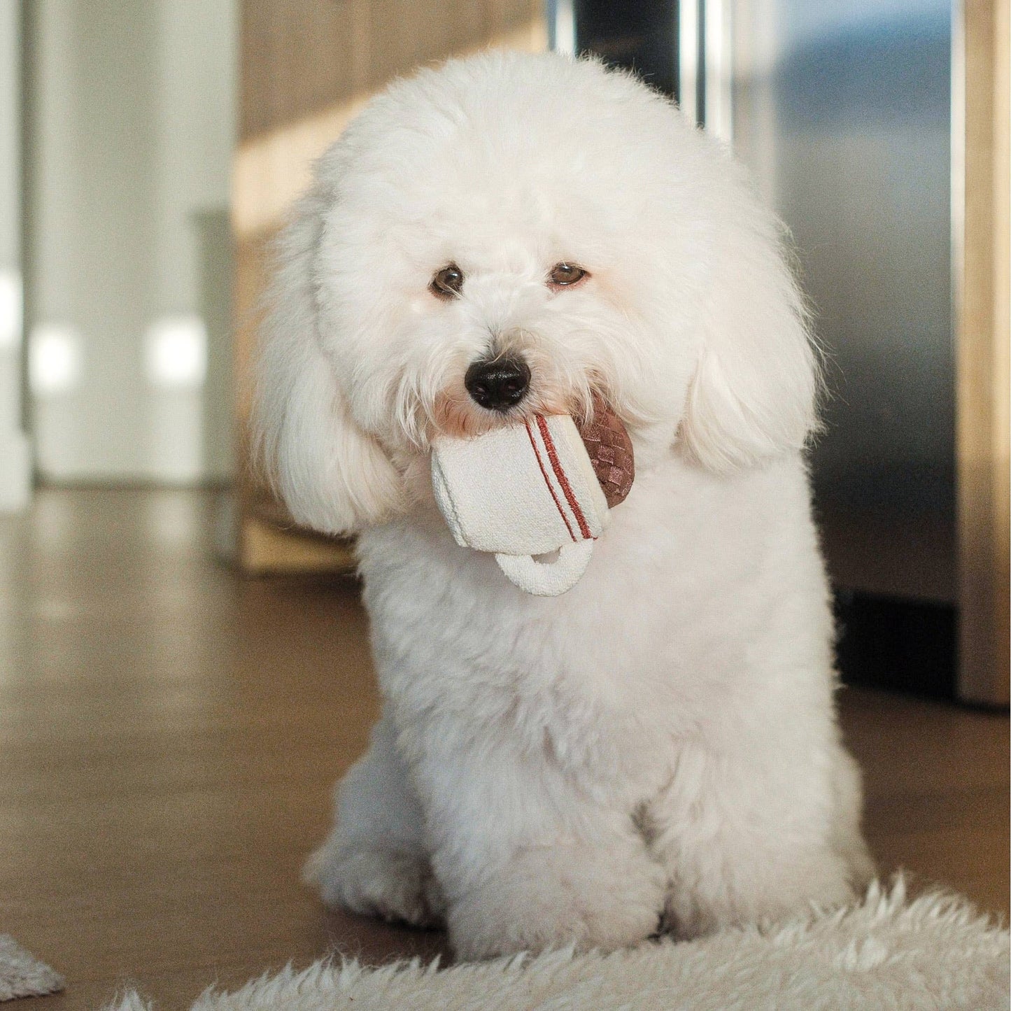 EXPRESSO POP//ENRICHMENT DOG TOY