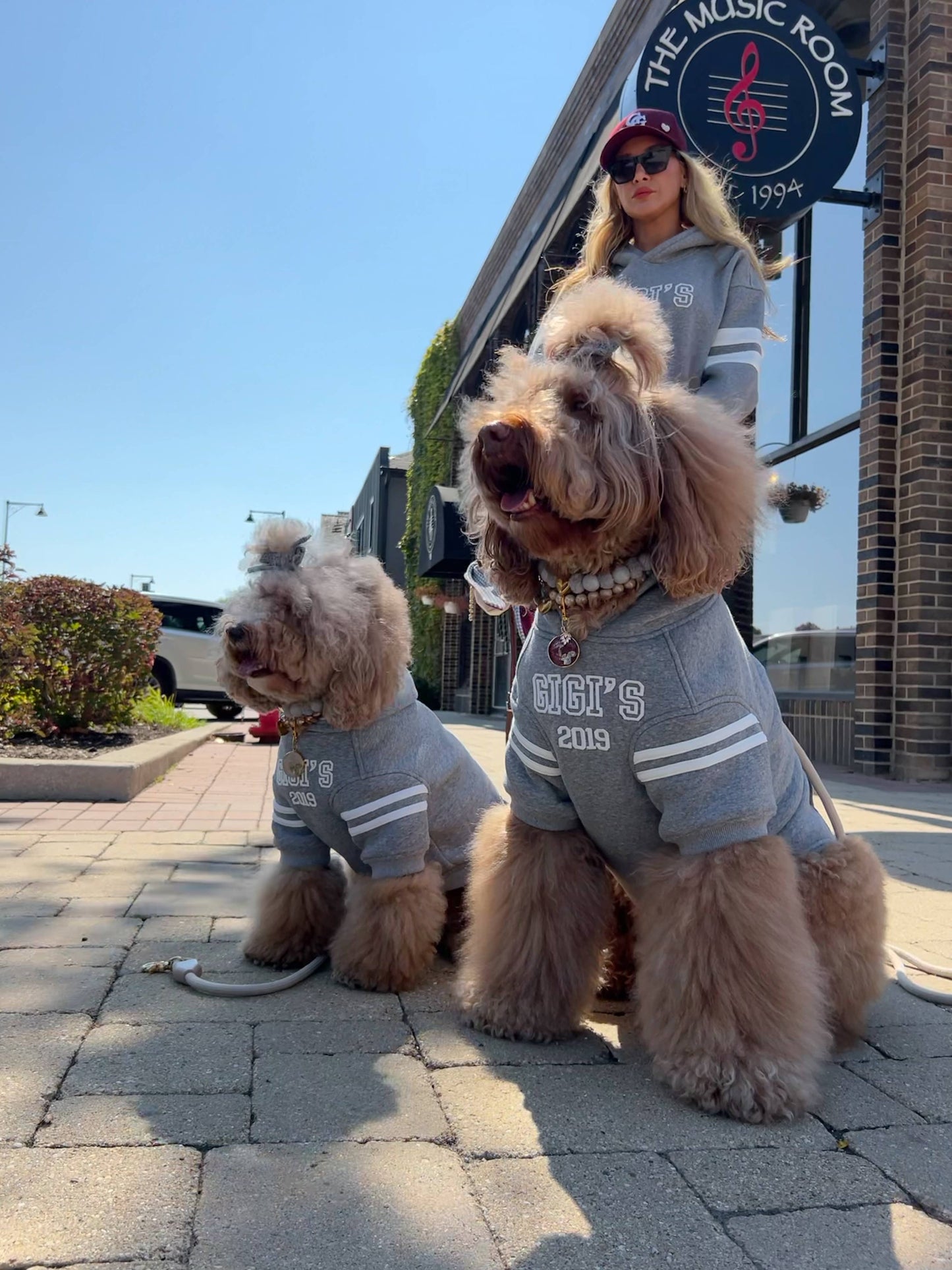Heritage 2019 Dog Hoodie